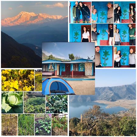 Hom'S Homestay & Farmstay Sarangkot Pokhara Kültér fotó