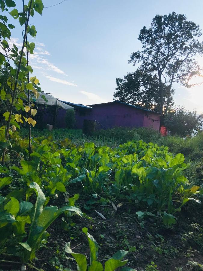 Hom'S Homestay & Farmstay Sarangkot Pokhara Kültér fotó