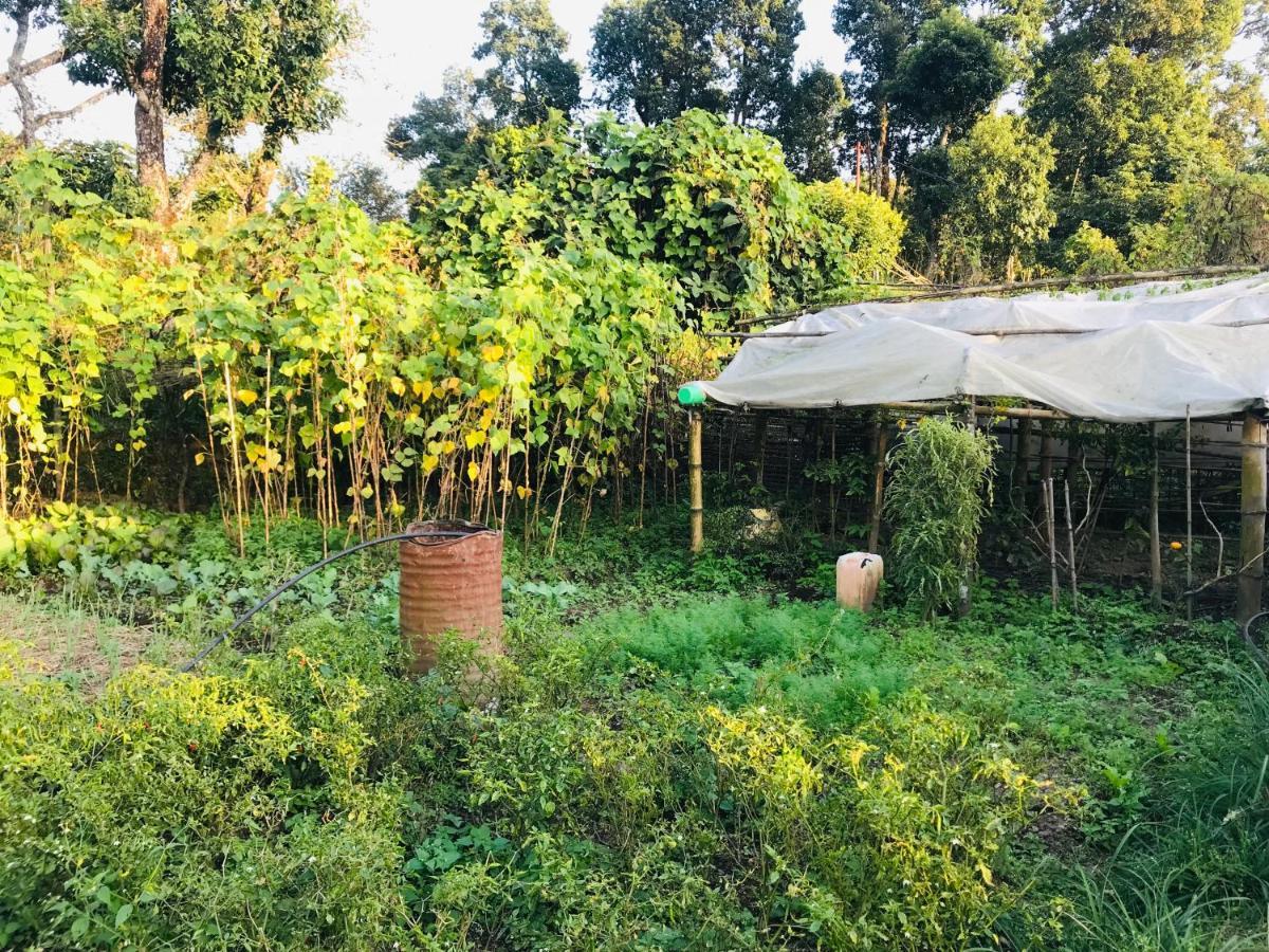 Hom'S Homestay & Farmstay Sarangkot Pokhara Kültér fotó