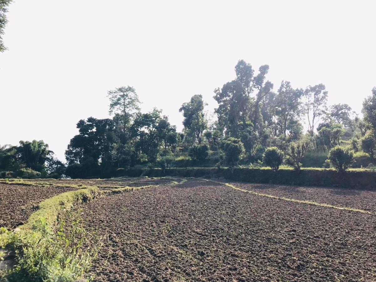 Hom'S Homestay & Farmstay Sarangkot Pokhara Kültér fotó