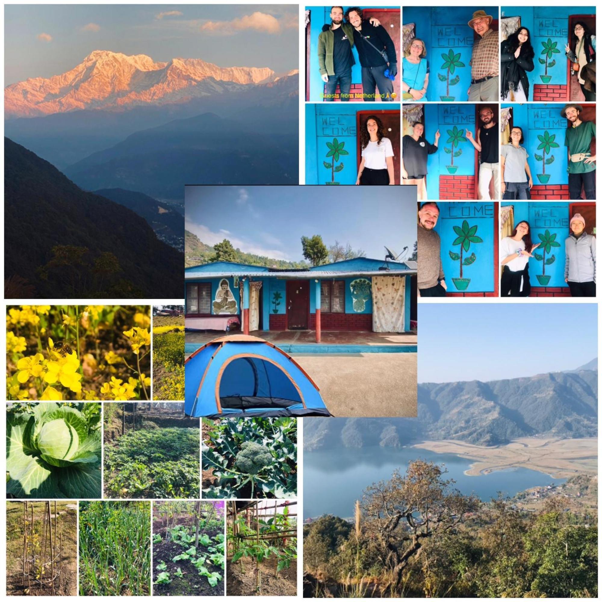 Hom'S Homestay & Farmstay Sarangkot Pokhara Kültér fotó