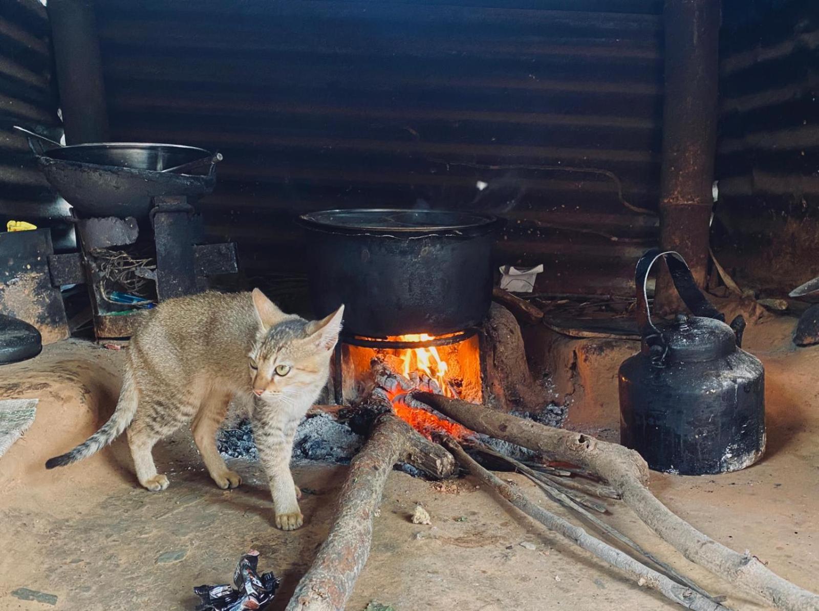 Hom'S Homestay & Farmstay Sarangkot Pokhara Kültér fotó
